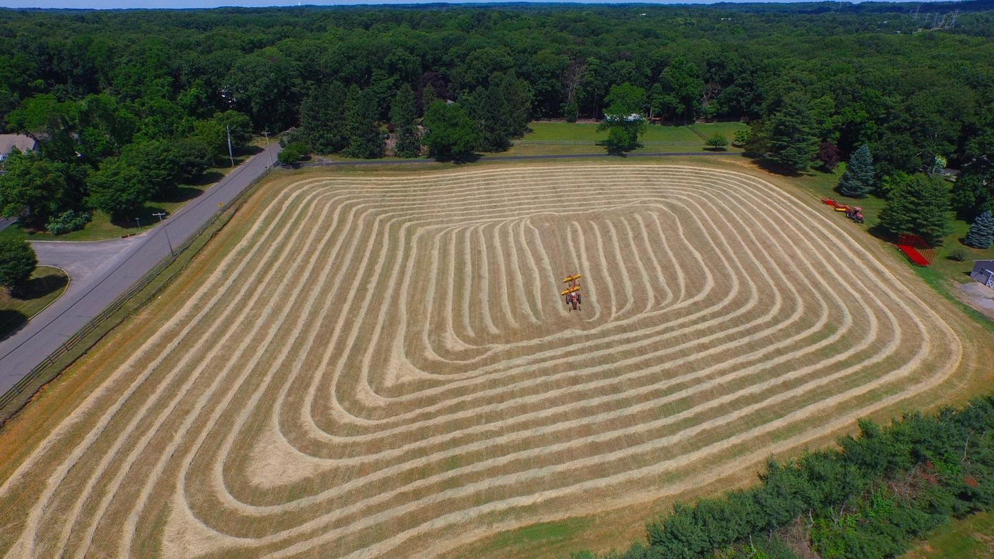 Timothy Grass Hay