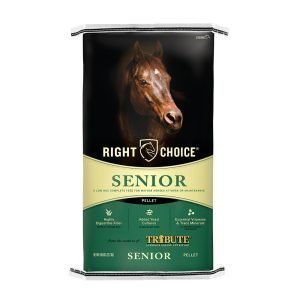 Senior Pellets